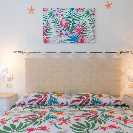 Domo Nora * أولبيا