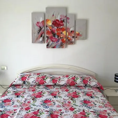 Domo Nora أولبيا