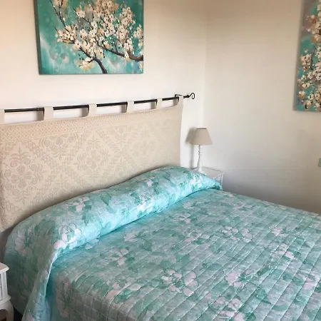 Domo Nora * أولبيا