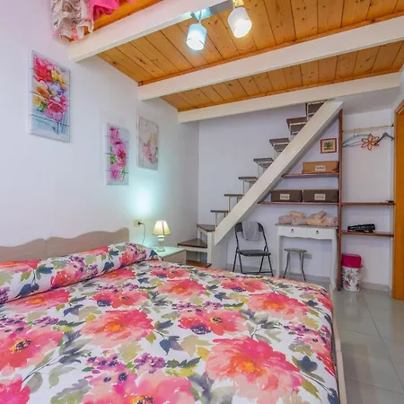 Domo Nora Guest house Olbia